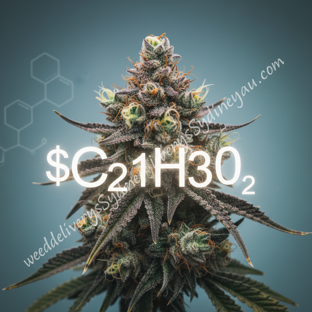 What Is THC? Uses and Benefits Of THC (Tetrahydrocannabinol)