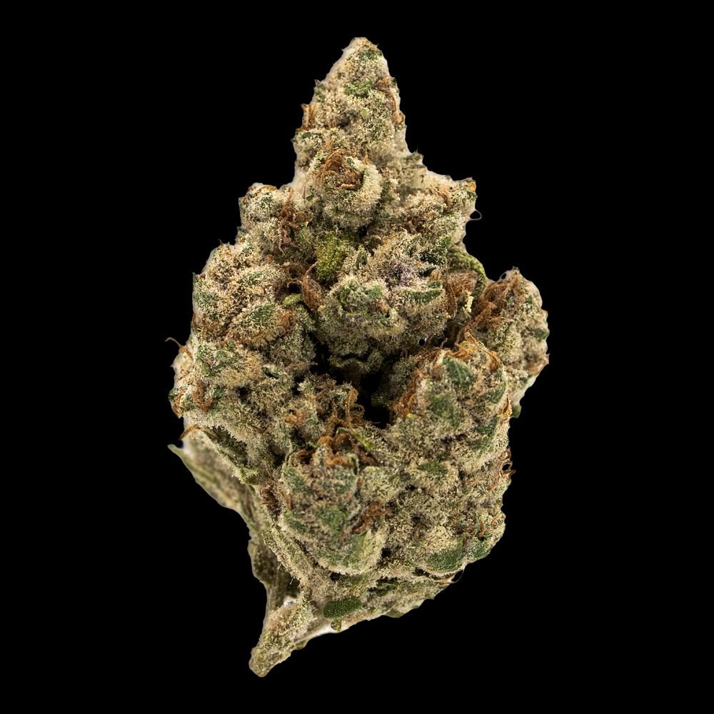 Choco Mintz THCA Flowers 20%