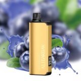 INGOT 20000 Puffs