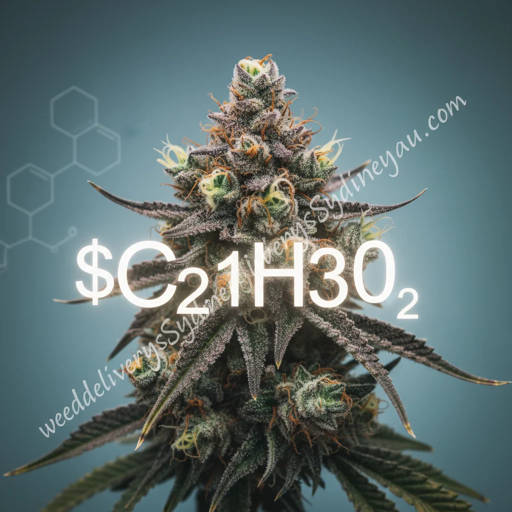 What Is THC – Uses and Benefits Of THC (Tetrahydrocannabinol)